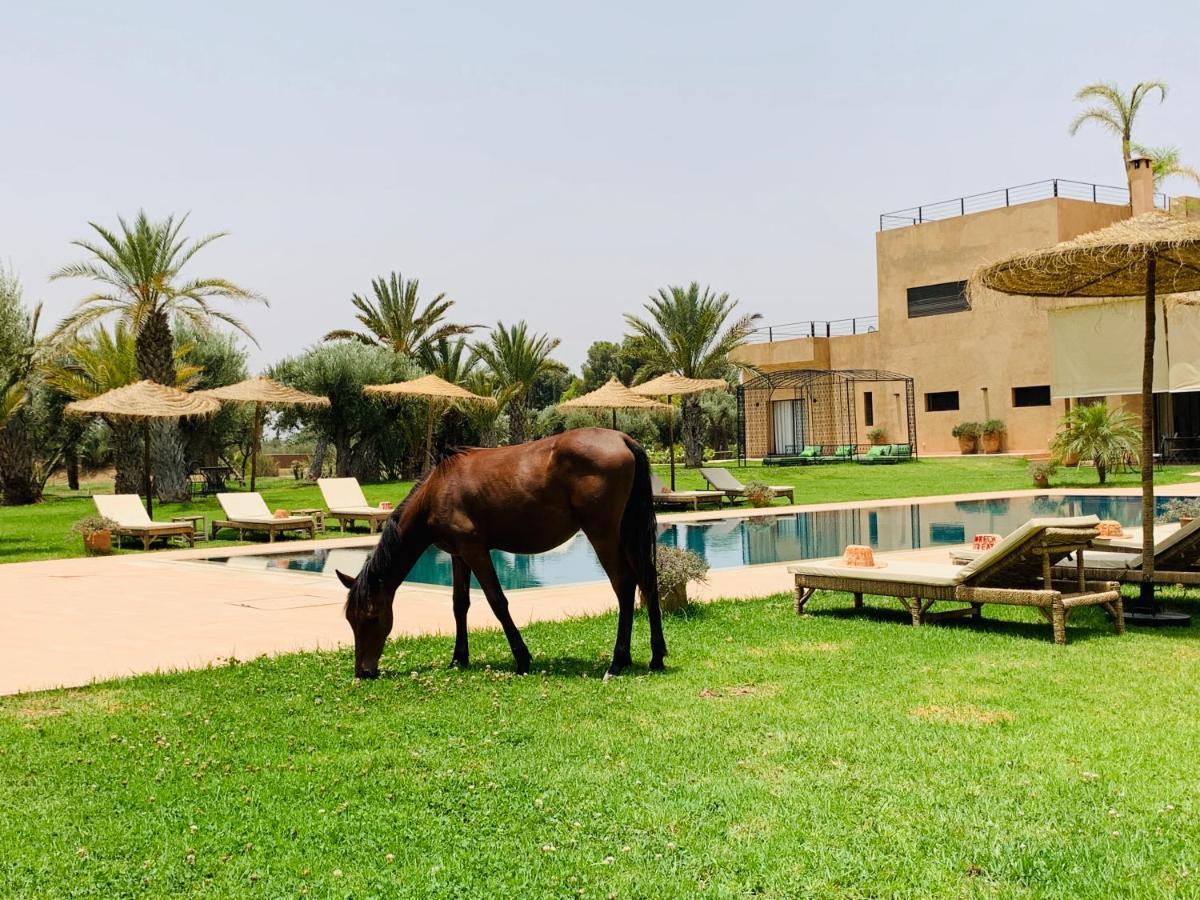 Srarhna Marrakech Retreat酒店 外观 照片