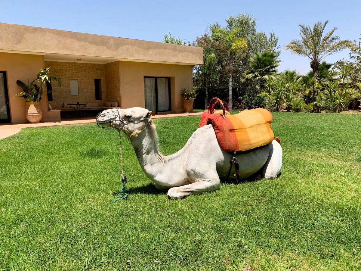Srarhna Marrakech Retreat酒店 外观 照片